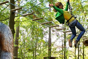 Go Ape - Itchen Valley Country Park