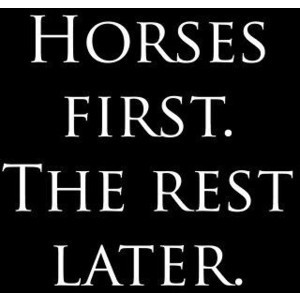 Horse Quotes (21)