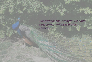 inspirational quotes