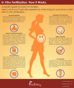 In Vitro Fertilization. How it works. Infographic
