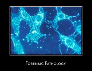 What is Forensic Pathology?