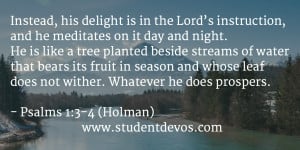 Daily Devotional on meditating on God's word with daily Bible verse