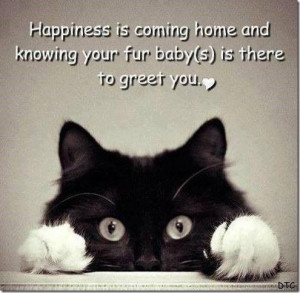 love fur babies! Although my fur babies are dogs :)