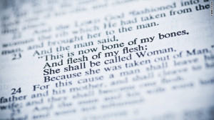 My Take: The Bible really does condemn homosexuality