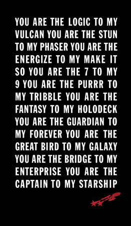 You had help from fellow Star Trek fan Dan Madsen, who works with you ...