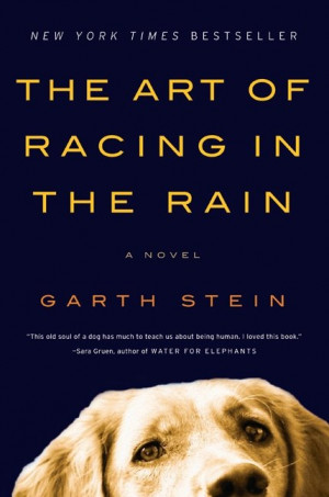 The Art of Racing in the Rain, by Garth Stein