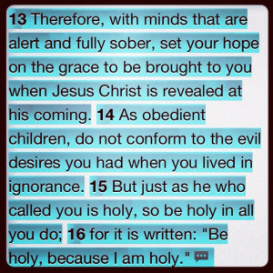 The Pursuit of Holiness