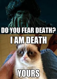 Grumpy Cat Quotes Titanic Grumpy Cat Quotes Titanic