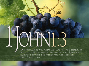 Bible Verses 1 John 1:3 Grapevine Picture HD Wallpaper