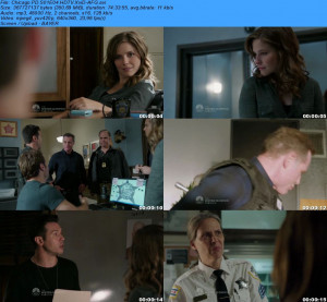 Thread: Chicago PD S01E04 HDTV XviD-AFG