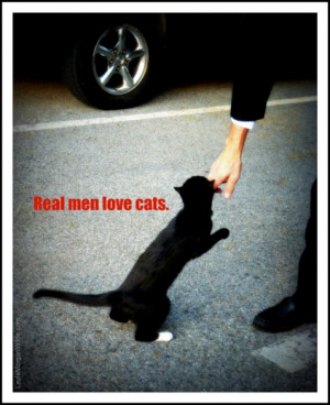 Cat-man-real men-love cats-quote