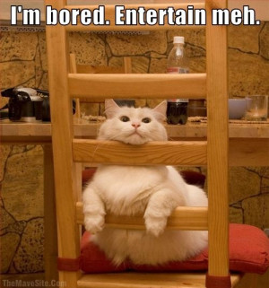 Leave a Reply Cancel reply