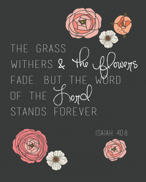 Then I went with more of a floral theme...