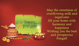 Pongal 2015 Messages: Best Pongal SMS, WhatsApp & Facebook Messages to ...