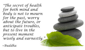 of health for both mind and body is not to mourn for the past, worry ...