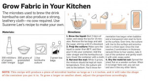 DIY Tutorial) - seriously ! bacteria, yeast, green tea ... Suzanne Lee ...