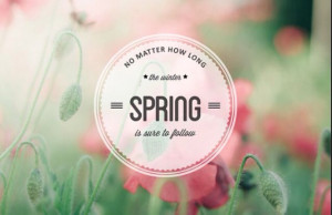 Who does not love spring time?