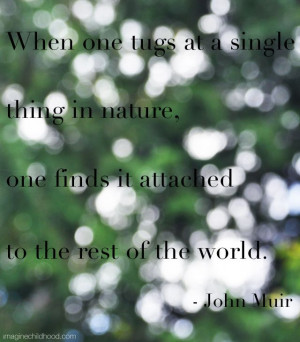 ... in nature, one finds it attached to the rest of the world -John Muir