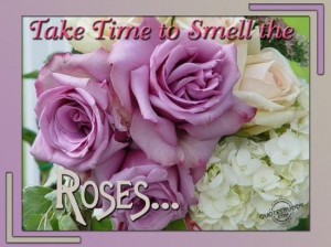 Take time to smell the roses flowers quote