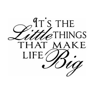 It's the Little Things That Make Life Big Vinyl Wall Quote