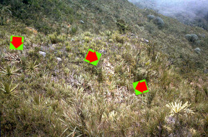 mst3k werewolf netflix