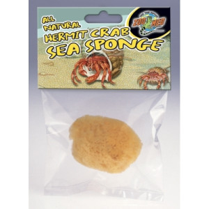 hermit crab sea sponge a great way for hermit crabs