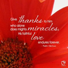 ... miracles. His faithful love endures forever. - Psalm 136:4 #NLT #Bible