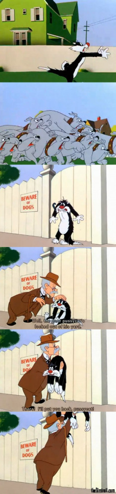 funny picture of Sylvester the cat from a Sylvester the cat and ...