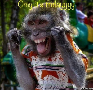 Its Friday - Funny Pictures, MEME and Funny GIF from GIFSec.com