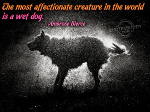 ... quote-and-the-picture-of-the-wolf-funny-dog-pictures-with-quotes-about