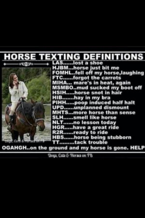 Horse quote...horse texts yup this pretty sums everything you need to ...
