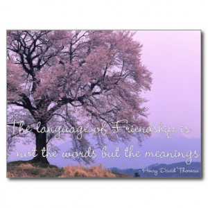 Friendship Quote 1 - Cherry Blossom Tree Postcards