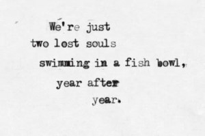 pink floyd