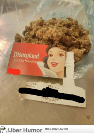 ... found this enormous bag of weed while at Disneyland with my kids