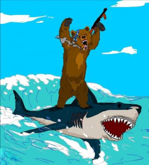 Bear Vs Shark