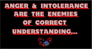 hatred begets hatred violence begets violence mistrust begets mistrust ...