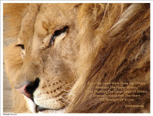 ... brave lion symbol brave lion drawing brave lioness brave lion quotes