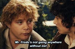 Funny Frodo Meme Lord The Ringsjpg Pictures