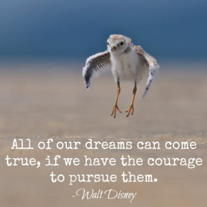 picture from here - quote from Walt Disney - merged by me}