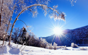 蓝天阳光冬季雪景桌面壁纸