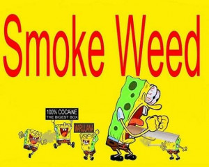 spongebob weed quotes humor lol spongebob