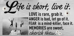 Short Life Quotes To Live By Life is short, live it. love