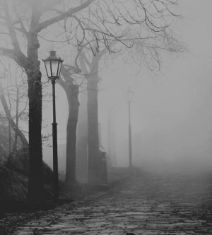 black and white, fog, light, lights, mist, street, tree, trees ...