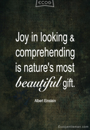 Quotes by Albert Einstein – Joy in looking and comprehending is ...