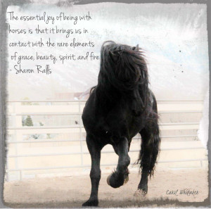 English Horseback Riding Quotes Inspirational horse quotes