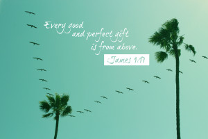 Bible Verse (James 1:17) Script, Palm Trees and Seagulls In Green Sky ...