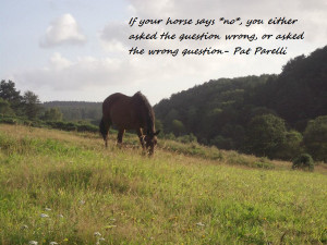 Pat Parelli Quote by Kyrawrx