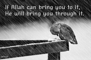 islamic quote, allah, life, text, faith, quotes, safina5, quote, islam ...