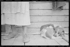 Rick Bragg Quotes & Sayings