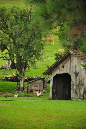 Farm - Just a photo, but it speaks volumes..I could have SOOOO many ...